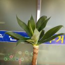 세종송담교회 이미지