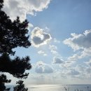 제주성산해마루 | 겨울 제주여행 2탄 :: 2025년, 마지막 힐링✨