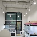 청주강아지분양 애견입양 애견미용 바른펫 이미지