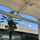 사공사공해장국 | 여행 : 여수 해상케이블카 | 아쿠아플라넷 | 메밀식당 | 선미해장국 | 아라마루 아쿠아리움 | 사천아이