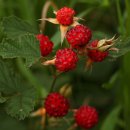 학산농장 이미지