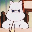 풍성의료기 | (내돈내산 후기) 전자파 방지, 장판형 매트, 원적외선...매트 : 한일의료기 카본매트(무자계카본)구매