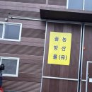 광주대로224번길 | 광주 송정동 점심식당 골목을 걸으며 본 점심 한 끼 풍경