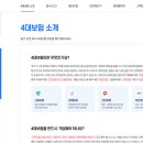 포인사이트