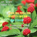 웰빙약초농원
