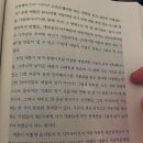 애플카모터스 티스토리
