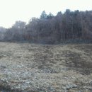 붕어섬축구장 이미지