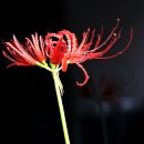 관음사 입구 이미지