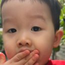 철만농장 이미지