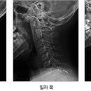 더디스크 이미지