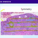 한국재난안전교육연구소 네이버블로그