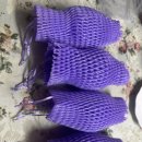 자양농장 | 거위알 하나로 든든한 한끼 낭만기러기 거위알요리 후기