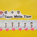 은평 백호 태권도장 이미지