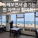 송지호횟집 | 강원도 고성 돌고래 횟집 내돈내산 송지호해변 맛집으로 추천