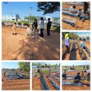 삼삼오오농장 이미지