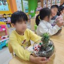 신안초등학교 병설유치원 이미지