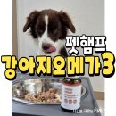 선유클린 | 펫햄프 강아지오메가3 급여후기