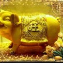 디엠씨협동조합 이미지