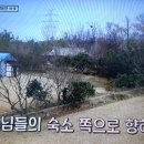 딤손