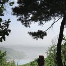 진벌1리 마을회관 이미지