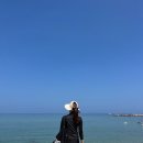 김밥나라(용화점) | 삼척 스노쿨링 용화해수욕장 용화방파제 여행 후기 (구명조끼 대여 필수, 장비 추천) 장호항