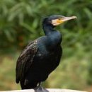 지정낚시터 이미지