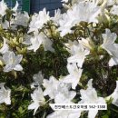 닥터차한의원 이미지