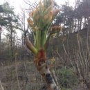 개미농장 이미지