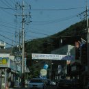 갈래초등학교 이미지