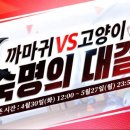 쿠키PC cafe 이미지