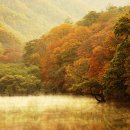 청송목장2 이미지