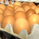 지현농장 이미지