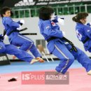 유로태권도 이미지