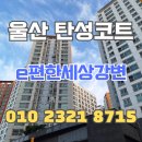 주식회사 사천식자재유통 | 울산 탄성코트 니코틴으로 찌든 벽면 향균 작업 후 시공