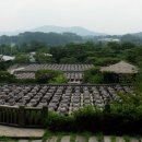 서일여행 이미지