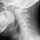 조은 한의원 이미지