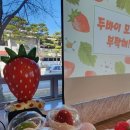 합창 | 천부교 여학생 합창캠프 후기 🎶