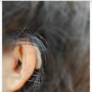 성북푸른보청기 이미지