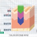 재생한의원 이미지