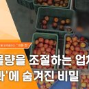 하나과일 - 관악구 남부순환로248길 32 | 하나과일