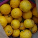 남해-275 이미지