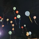 후평숲속유치원 이미지