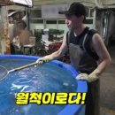 바다회활어