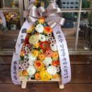 석전동286 이미지