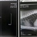 제이엠 동물병원 이미지