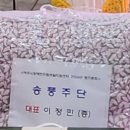송풍주단