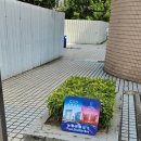 씨티오브드림 | 세나도 광장에서 베네시안 호텔 가는법/ 시티오브드림셔틀버스 타는곳 (광고X)자세하게 써둠