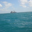 참치랑가재랑 이미지