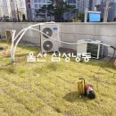 우성진열장