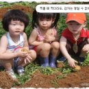 순모농장 네이버블로그